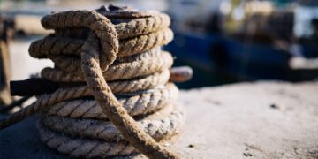 Neue Termine online!